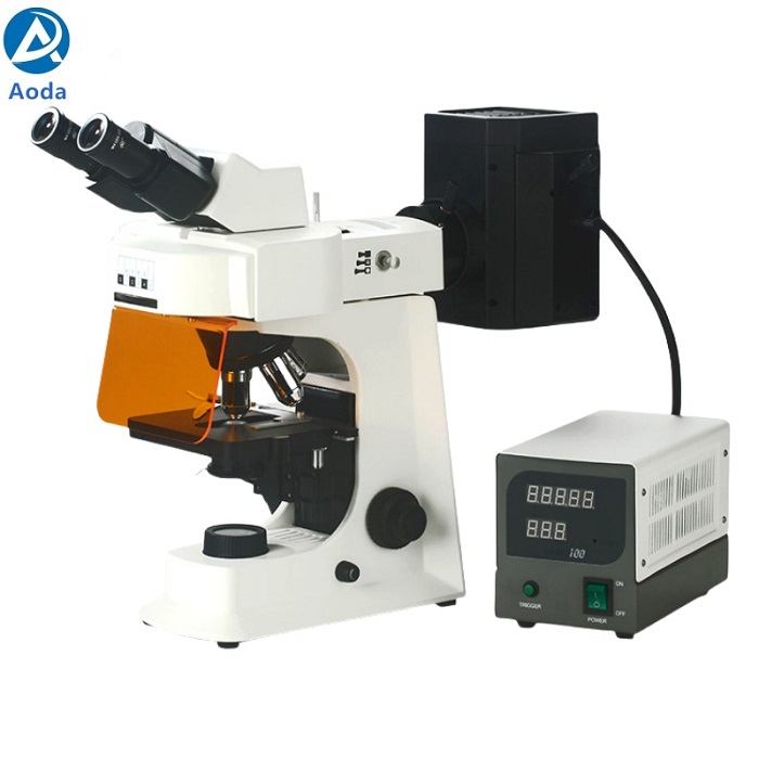 Smart-FL Fluorescence Microscope