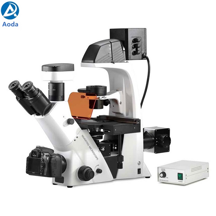 BDS500-FL Inverted Fluorescence Microscope