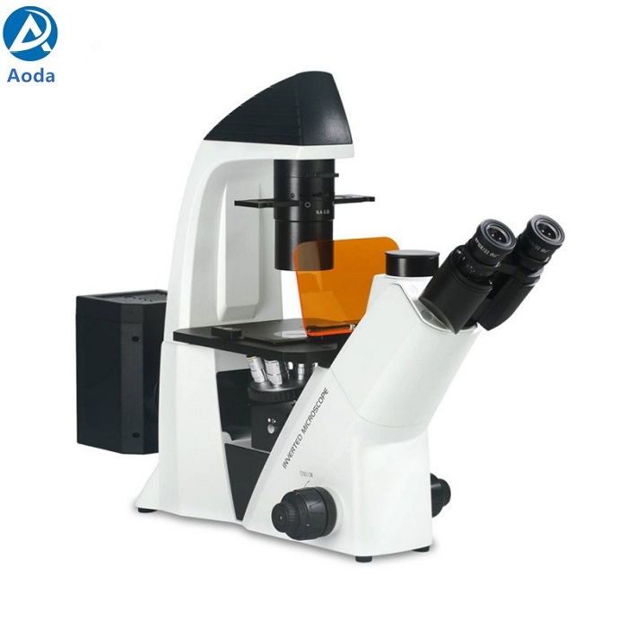 BDS400-FL Fluorescence Microscope