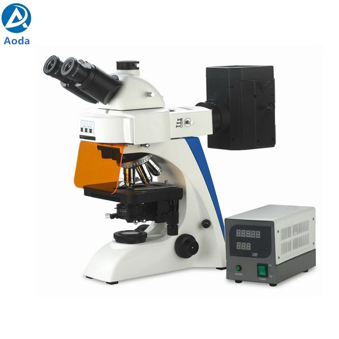BK6000-FL Binocular Trinocular Biological Fluorescence Microscope