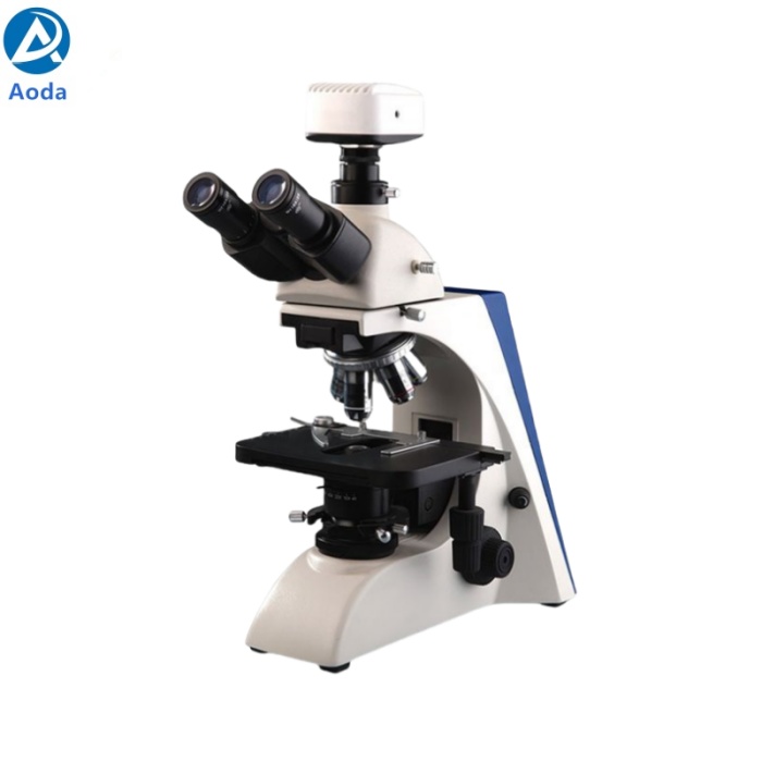 BK6000 Series Biological Microscope