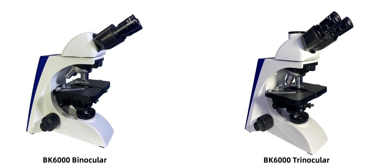 BK6000.png