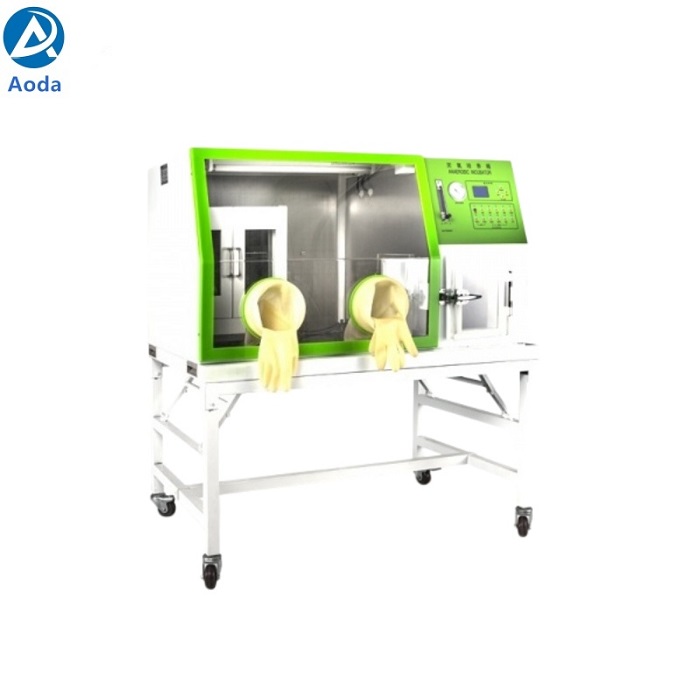 LAI-3 & LAI-3D Anaerobic Incubator